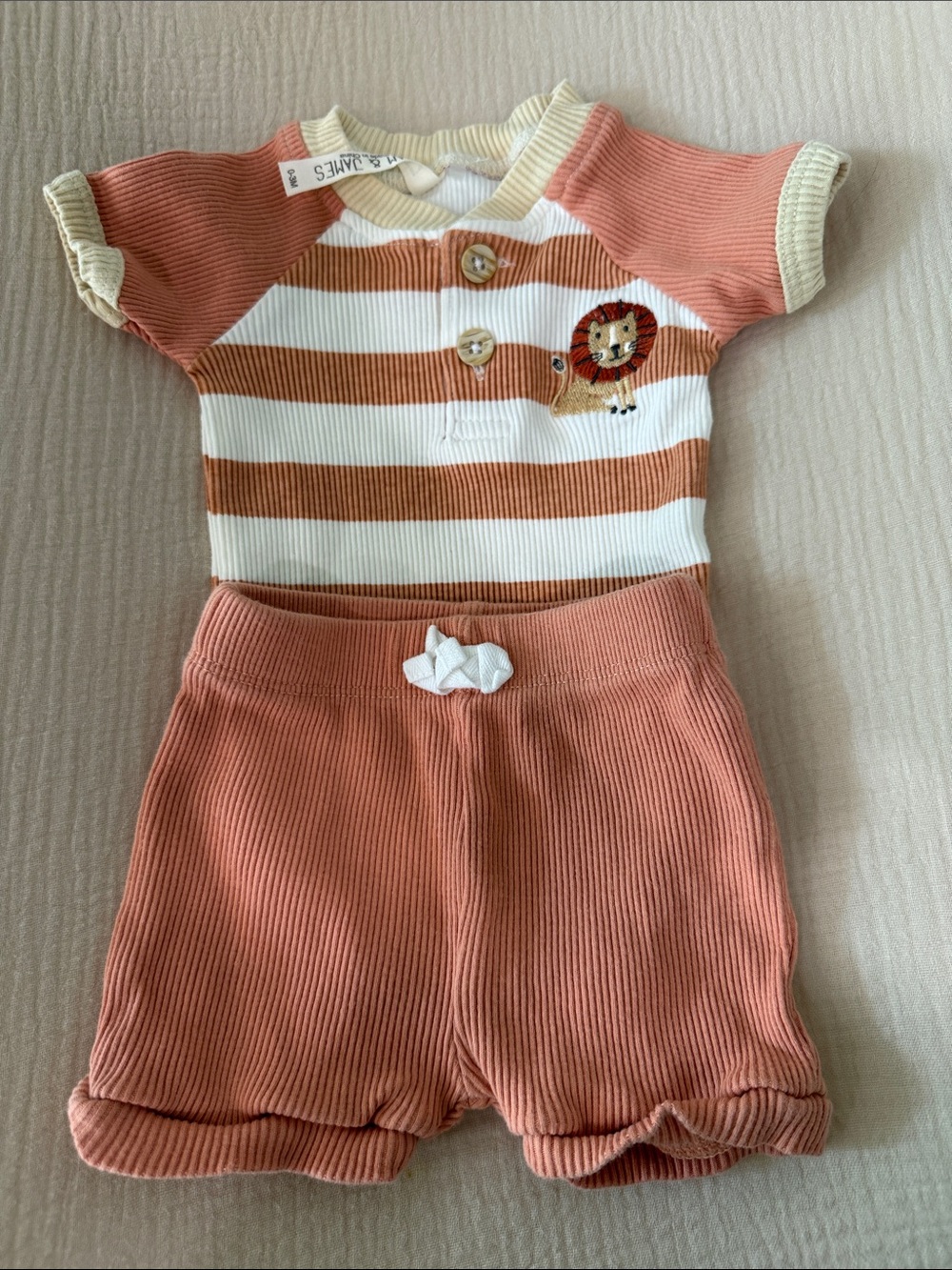 Zara Rust & Cream Striped Lion Ribbed Two-Piece Set